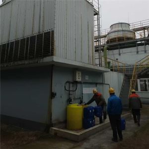 202104091253556932 202104091253556932