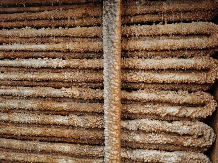 蒸发式冷凝器结垢5_副本 蒸发式冷凝器结垢5_副本