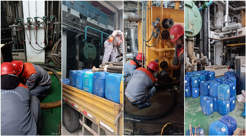 凝汽器、冷油器午夜视频成人福利-组合